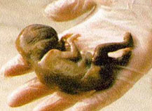 ��������� �� �����, ��� �������, �������� ��� ������ܻ