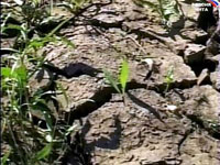 ������ ��� ������� �� ������