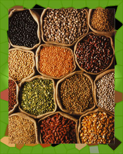 ��� ������ ��� ������ ��������