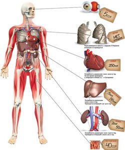 �� ������ ������ ������� ������