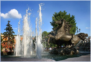 ���� ����� ���� �������� ������!