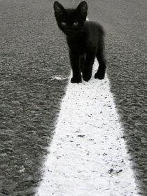 �������� � ������������ � ���� ���