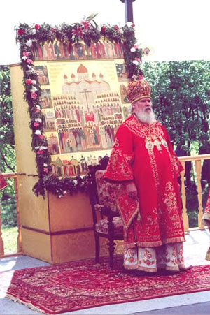 ���������� ���������� ����������� �������������