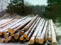 ���� ��� ����� ���������� ����� ��������� ��� ������������, ������ �� �������������� ��������� � ������������ ������ � ���������� ��� ��������.