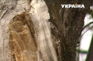 � ��������� ������� �� ������ �������� ��� ����������