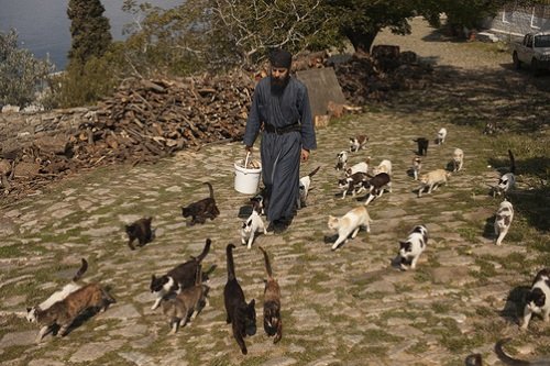 �������� ������ � ���������� ��������� � ��������