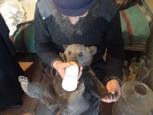 �������� ������ � ���������� ��������� � ��������