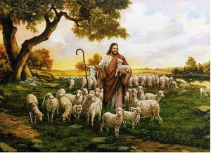 Неверующие - не от стада Христова