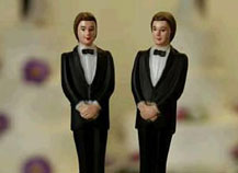 ������������� ������ �������� ������ �������������� ����