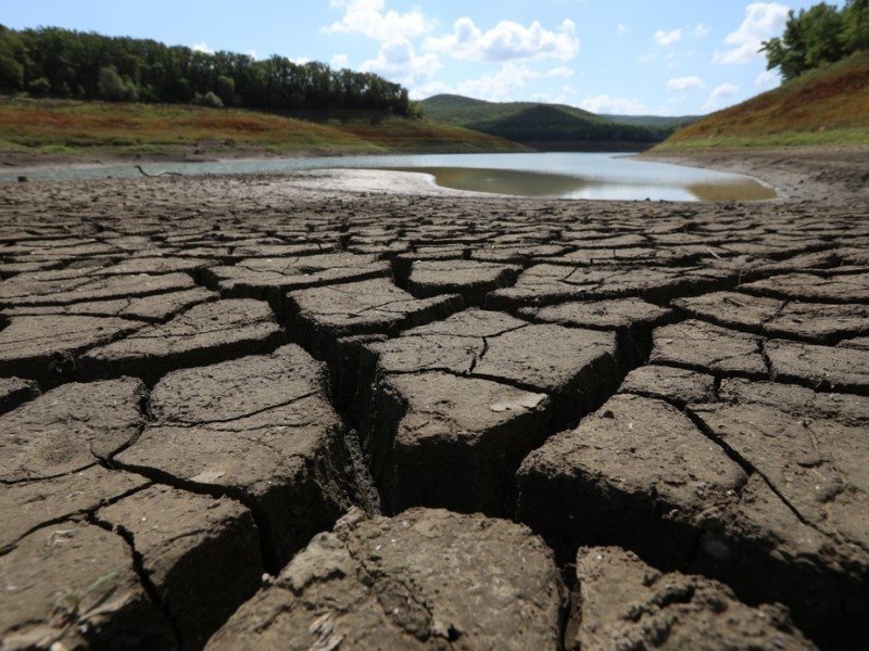 ��������� ���������� �������� �������� ���������������� ������� ����