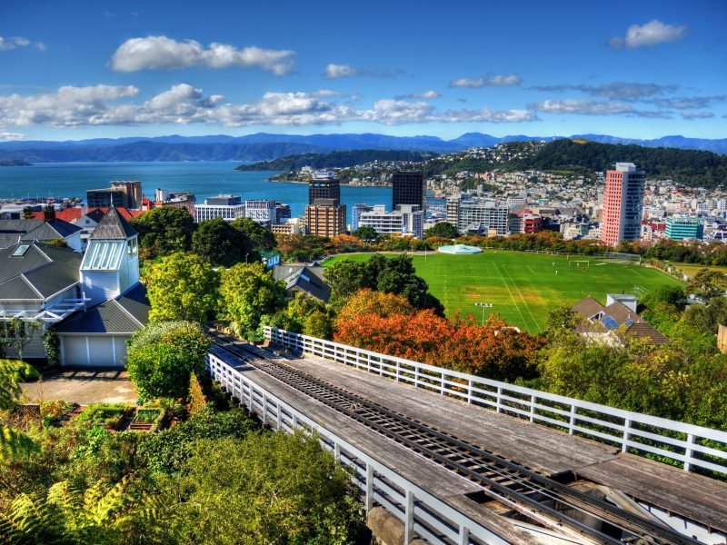 ��������: ����� �������� �����������?