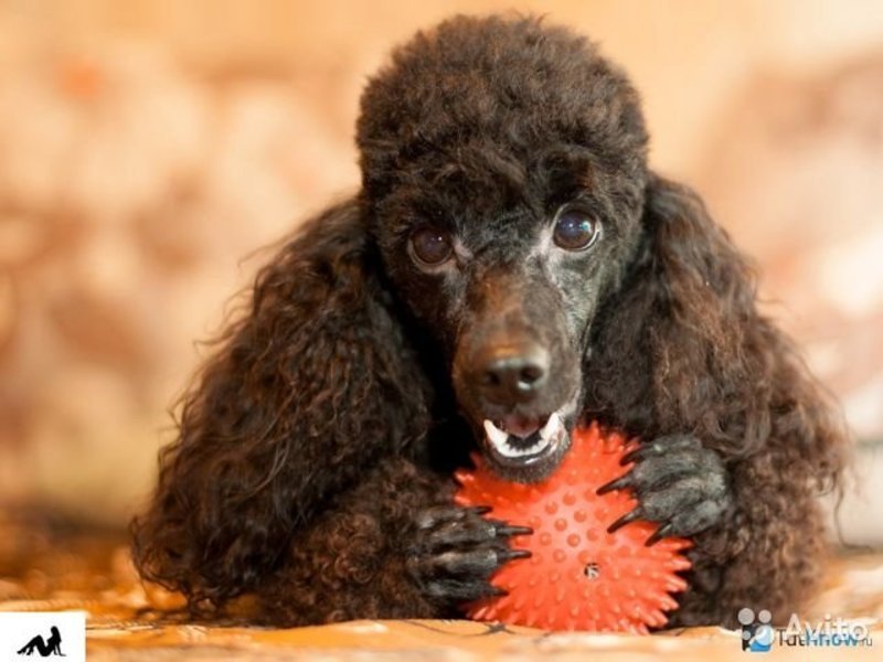 ��������� ������� �������� ������� �ࠫ�������� �������� �������