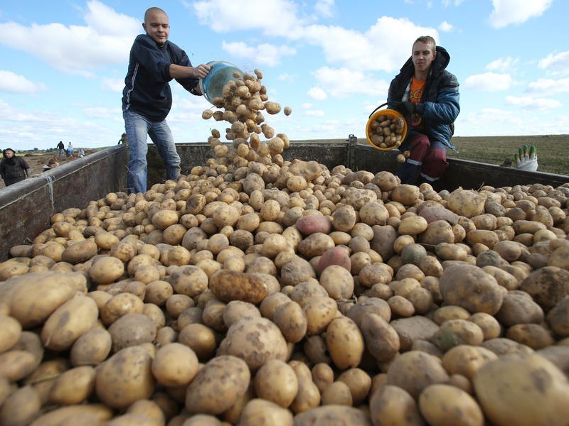 ������� ����� ���������� ����������� ��������� � ����������