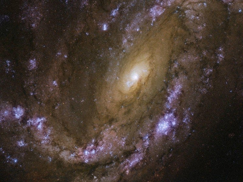  ������� ���������� �������� ����������� �������