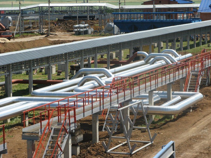 ������ ���� � ��� ������ �� �������� �� 10 ���