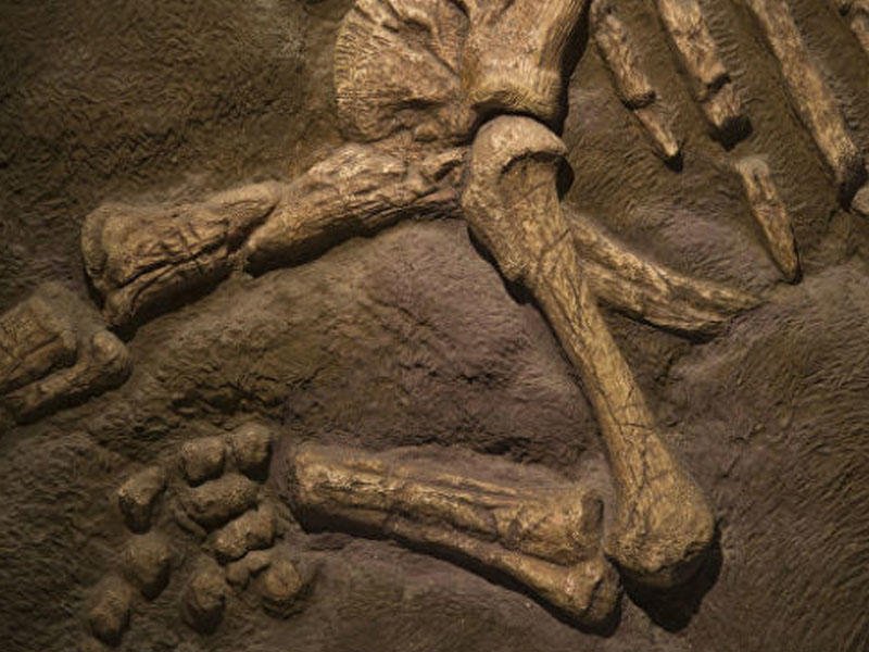 ���������� ������� ������ ���� ���������, ����������� �������� �������� �����