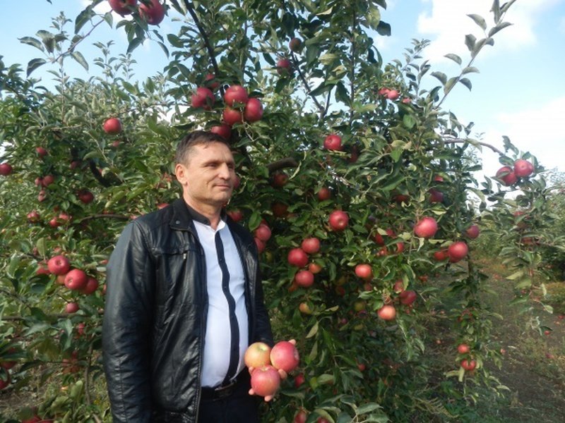 ��� ������� ��� ������� ��������� ����� � ���� ������ �� ������� ����������