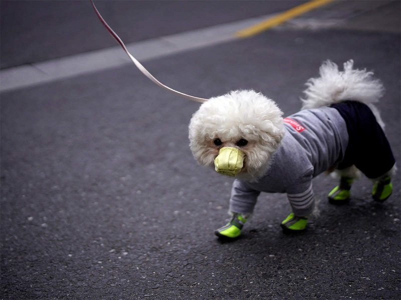 � ����� ����� �������� ���� �����