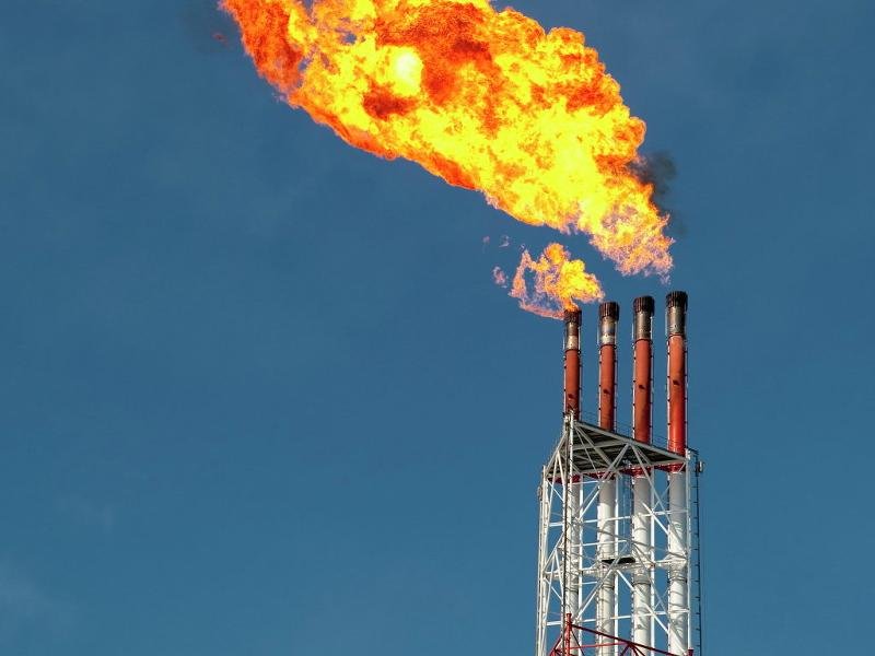 ���� ���� � �� ����� �������� ������