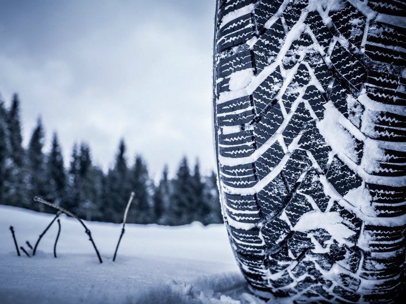 ���� �� ������ ������ ������� �� 25%