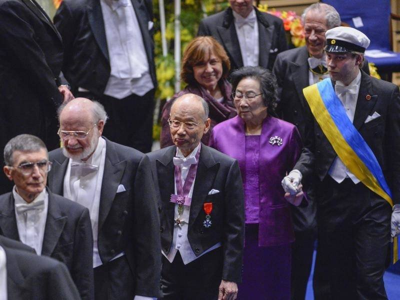 � ������ ������� ����������� ���������