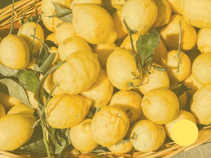 ��������������� ������������ ������ ������� �� ������