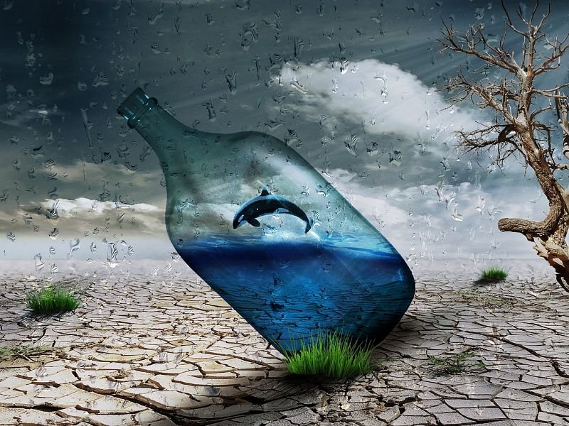 ��������� ������������ ���� ������� �� ������ ��������� ������ ��������