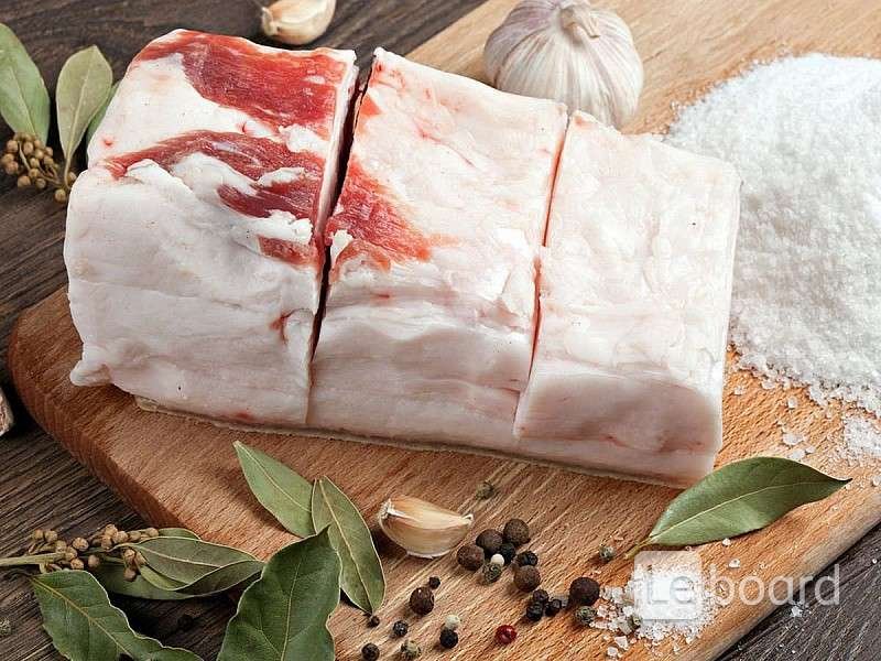 ���� �� ���� ���������� �� ��������� �������� �� �������