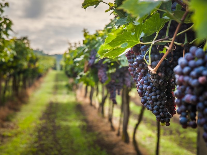 ���������� �� �������� ����������� ������ �� �������� ���������