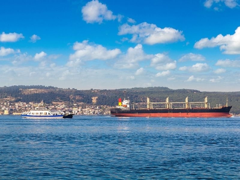 ������ ����: ������ �������� ������� � �������� ��������