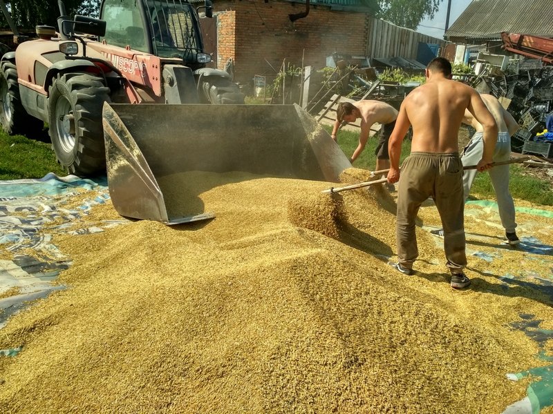 В Кремле прокомментировали заявление ООН о краже Россией зерна у Украины