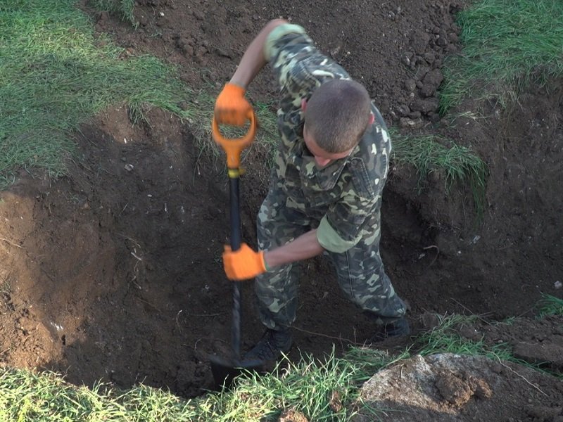 ��� ������ ������� ������ ���������� �������� ����������� ������